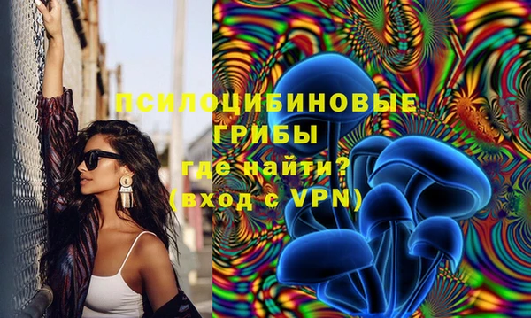 гидра Алексеевка