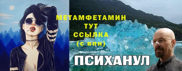 гидра Алексеевка