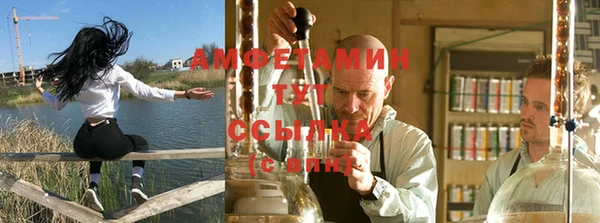 гидра Алексеевка