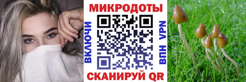 Галлюциногенные грибы мицелий  Закаменск 